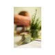 Vasetti Weck mini in vetro serie Droit - 80 ml